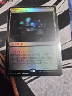 MTG 地底の遺体安置所/Underground Mortuary MKM通常日 - メルカリ