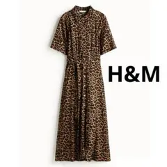 2025年最新】ヒョウ柄 ワンピースの人気アイテム - メルカリ