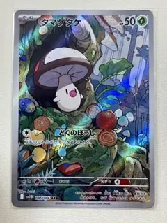 2025年最新】タマゲタケの人気アイテム - メルカリ