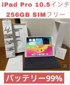 【極美品】Apple iPad Pro10.5インチ 256GB Simフリー