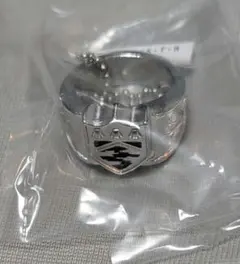 家庭教師ヒットマンREBORN ボンゴレリングコレクション 霧