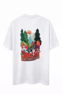 THE NORTH FACE グラフィックTシャツ ホワイト