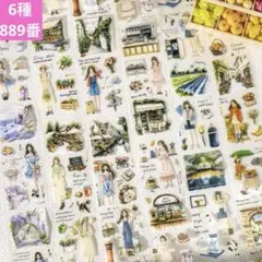 新品❣️ 人生规划师シリーズマスキングテープPETシールコラージュ素材6種