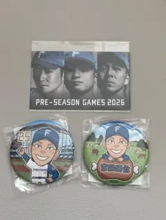 北海道日本ハムファイターズ 宮西選手 グッズ4点セット - メルカリ