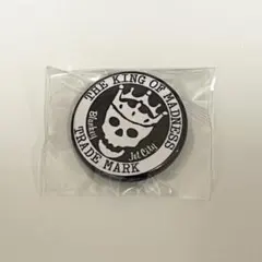 blankey jet city ミュージシャン