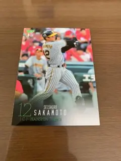 BBM2024 1st 坂本誠志郎