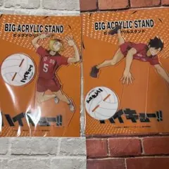 しまむら HAPPY BAG ハイキュー アクスタ 音駒