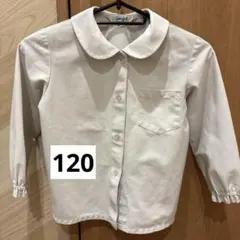 シーガルキッズ