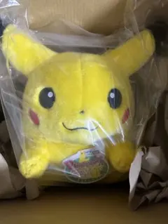 ポケモン 30周年記念 おかえり ピカチュウ 1/1