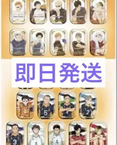 ハイキュー‼︎ スクエア 缶バッジ クールダウン おすわり 2種セット