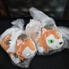 2026年最新】ポケモンセンター ぬいぐるみ ルガルガンの人気アイテム