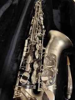 2025年最新】キャノンボール サックスの人気アイテム - メルカリ