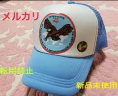 TAINDOUBLEPUSH タインダブルプッシュ メッシュキャップ - メルカリ