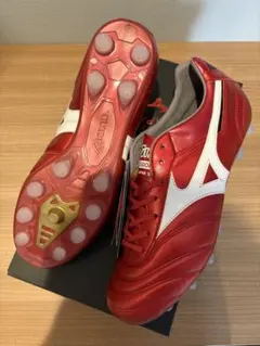 2025年最新】モレリア 29cmの人気アイテム - メルカリ