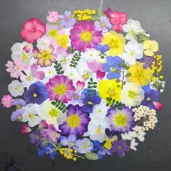 bon様 リクエスト 2点 まとめ商品