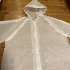 Item thumbnail for item fbb58e3f-1b33-474e-b5f1-ebc2a8c87688