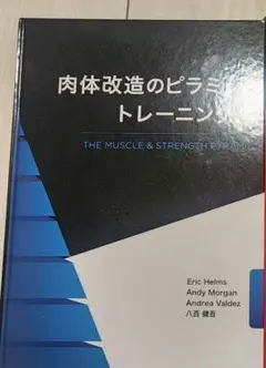 2025年最新】肉体改造のピラミッド トレーニング編の人気
