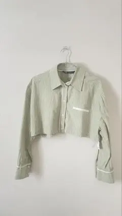 ZARA 薄いグリーン ストライプ クロップドシャツ