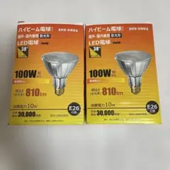 하이빔 전구형 LED 전구 100W 상당 2개 세트