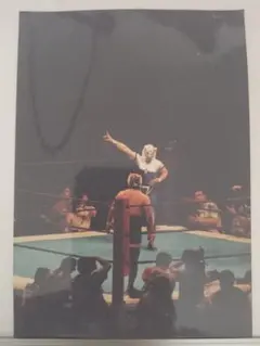 Item thumbnail for item b0d92a95-d4e9-4201-8f37-0d26f91db2bd