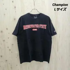 『 Champion (アメリカ古着) 』 カレッジTシャツ / Lサイズ