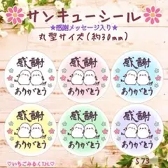 S73 サンキュー感謝ありがとうシール シマエナガちゃんペア 丸型 6色48枚