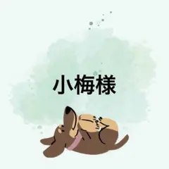 小梅様のサムネイル