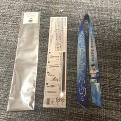 Item thumbnail for item 3184fb4d-f60b-40c7-b632-d2fb8706b2ef