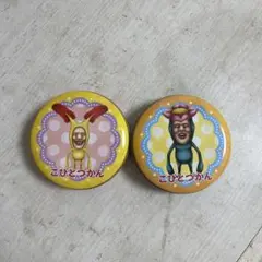 新品未使用吉祥寺道の駅限定こびとづかんBIG缶バッチ全種類