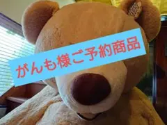 がんも様のお取り置き商品ですのサムネイル