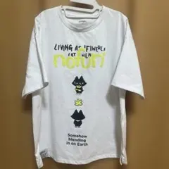 graniph グラニフ / ノフリ ヘビーウェイトドライビッグTシャツ