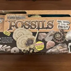 Item thumbnail for item e4715be4-a587-450f-b66d-a603a275da91