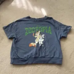 ズートピア Tシャツ キッズ