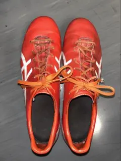 廃番品！レア！ASICS DS LIGHT X-FLY 3 SL TSI749 - メルカリ
