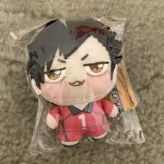 ハイキュー‼︎ 黒尾鉄朗 ちょぴぬいぷち マスコット ぬいぐるみ