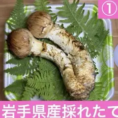 岩手県産 松茸 マツタケ 採れたて　253g 岩手・岩泉産 朝採れ松茸【300g】 - 岩泉マルシェ ｜岩手・岩泉