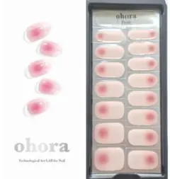 ミンミン様専用★オホーラネイルシール15枚★N Aurora French②