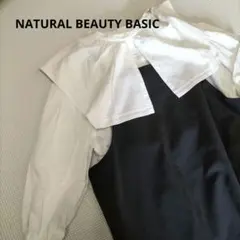 [洗える]　スクエアカラーブラウス NATURAL BEAUTY BASIC