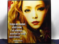 【新品 No 261】 ポップアートパネル 安室奈美恵