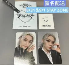 Stray Kids STAY ZONE フィリックス トレカ ペンミ