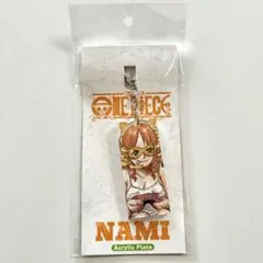 ワンピース ナミ アクリルプレートキーホルダー ONE PIECE DAY