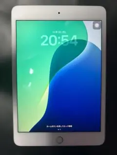 iPad mini (第５世代) Wi-Fi + Cellular 64GB