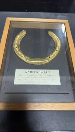 ナリタブライアン　蹄鉄　記念品　馬毛付き 2025年最新】ナリタブライアン 蹄鉄の人気アイテム - メルカリ