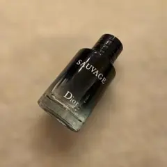 Dior SAUVAGE 香水(男性用)
