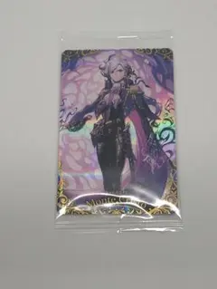 巌窟王 モンテ・クリスト Fate Grand Order FGO ウエハース