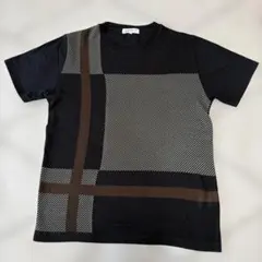 Item thumbnail for item c981e287-c890-452d-8a24-0c8d3e49ced3