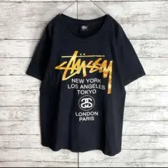 ステューシー　ワールドツアーロゴＴシャツ 定番カラー