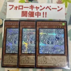 遊戯王 マルチャミーフワロス シークレット 3枚セット ③