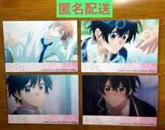 映画佐々木と宮野　アニメイト フェア特典ブロマイド　佐々木秀鳴　宮野由美