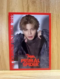 武知海青　フォトカ